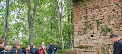 Aperçu de JOURNÉES DU PATRIMOINE - VISITE DU SITE DU CHÂTEAU DE BRUYÈRES