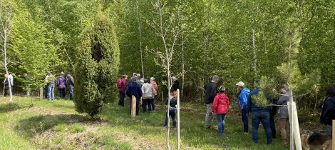 Aperçu de SENTIER DE L'ARBORETUM N°14