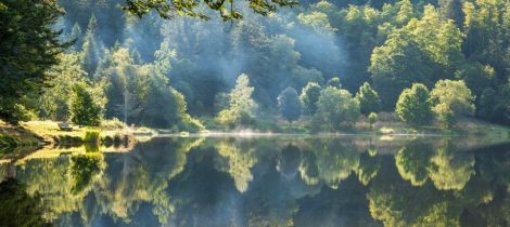 Aperçu de LE LAC DE BLANCHEMER