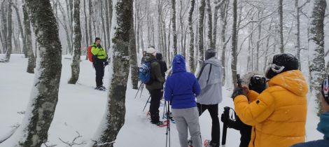 Aperçu de BUREAU MONTAGNE HAUTES VOSGES