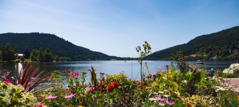 Aperçu de LE LAC DE GERARDMER