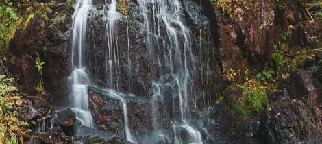 Aperçu de RANDONNÉE - LA GRANDE CASCADE DE TENDON