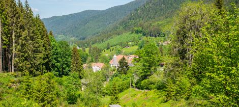 Aperçu de LE SENTIER DES PANORAMAS