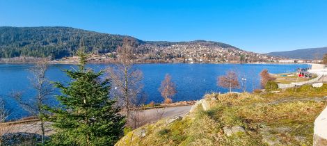 Aperçu de LA ROCHE DU LAC