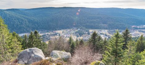 Aperçu de LA ROCHE MORAND