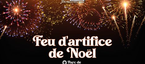 Aperçu de FEU D'ARTIFICE DE NOËL