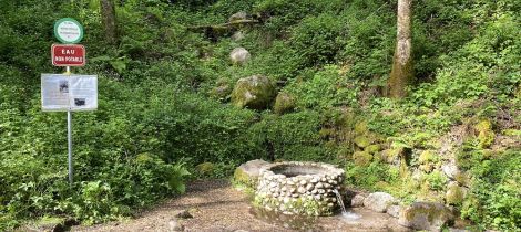 Aperçu de SOURCE DE CHAUDE-FONTAINE