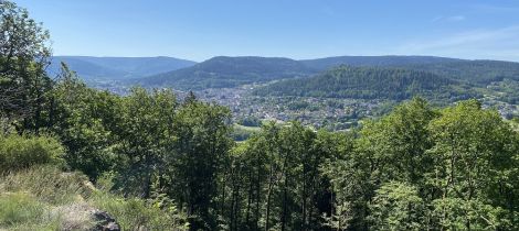 Aperçu de LE BELVÉDÈRE DE MONTIROCHE