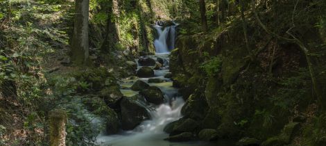 Aperçu de CASCADE DU GEHARD