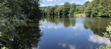 Aperçu de LES ÉTANGS DE LA PRAIRIE DU VOUAU