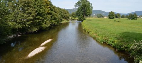 Aperçu de LA MOSELLE