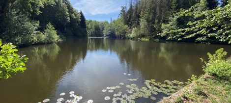 Aperçu de RANDONNÉE - CASCADE DE MIRAUMONT PAR LA PIOTTE