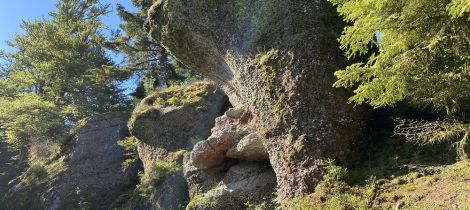 Aperçu de RANDONNÉE - LES POUDINGUES ET LA ROCHE TOCQUAINE