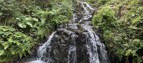 Aperçu de RANDONNÉE - LA CASCADE DE FAYMONT