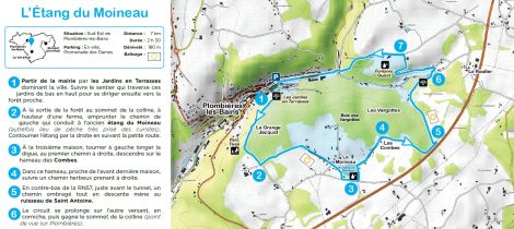Aperçu de RANDONNÉE - L'ÉTANG DU MOINEAU