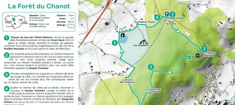 Aperçu de RANDONNÉE - LA FORÊT DU CHANOT