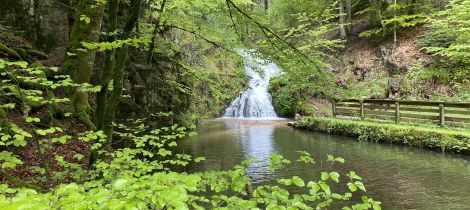 Aperçu de RANDONNÉE - LA CASCADE DEPUIS PLOMBIÈRES