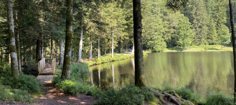 Aperçu de RANDONNÉE - LA BEUILLE SUR LA LIGNE DE PARTAGE DES EAUX