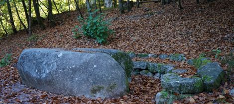 Aperçu de RANDONNÉE - LES HAUTS DE SAINT-NABORD