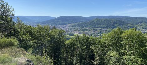 Aperçu de PARCOURS TRAIL N°04 ROUGE - MONTIROCHE ET ÉTANG DE HUCHÈRE