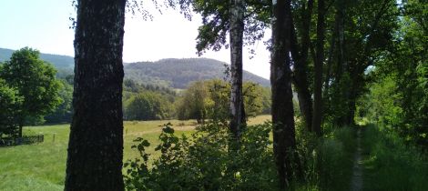 Aperçu de PARCOURS DE JONCTION SAINT-NABORD ELOYES