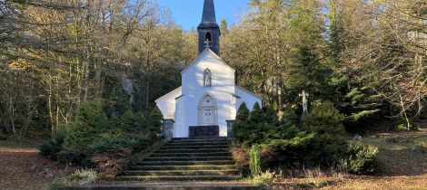 Aperçu de VISITE GUIDEE : LA VIE DE SAINT AMÉ