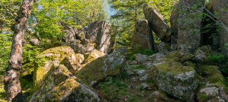 Aperçu de RANDONNÉE - LES ROCHES DU THIN ET SAINT-SABINE