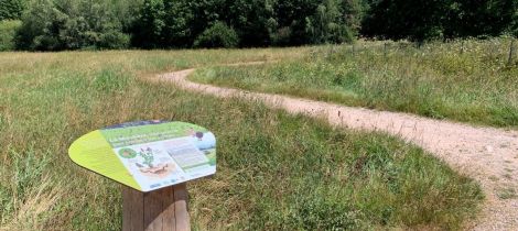 Aperçu de LA ZONE HUMIDE DE LA MOUTIÈRE  - LA PRAIRIE À AZURÉ DES PALUDS