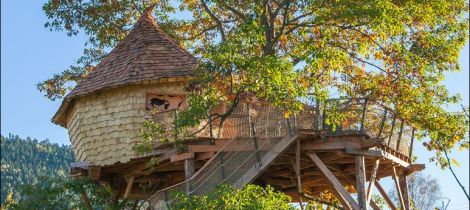 Aperçu de LES CABANES DU CHÊNE ROUVRE