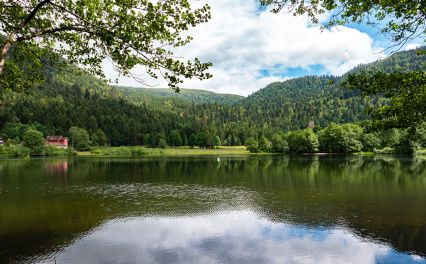 Office de Tourisme Communautaire Gérardmer Hautes Vosges