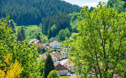 Gérardmer Tourisme