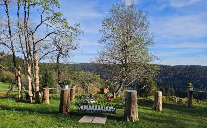 PERLE DES HAUTS GERARDMER