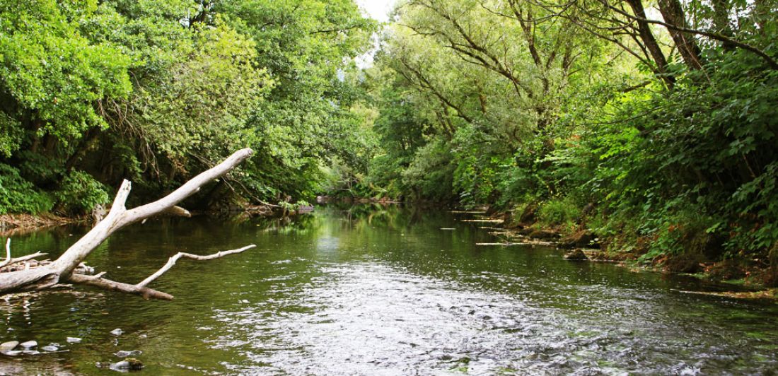 Aperçu de ÉTANGS ET RIVIÈRES ROCHESSON