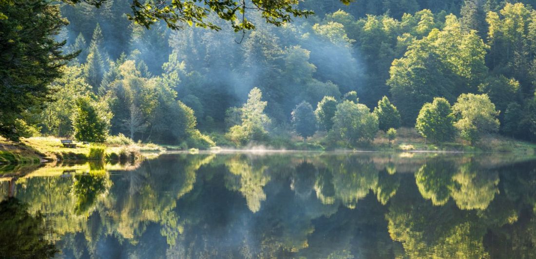 Aperçu de LE LAC DE BLANCHEMER