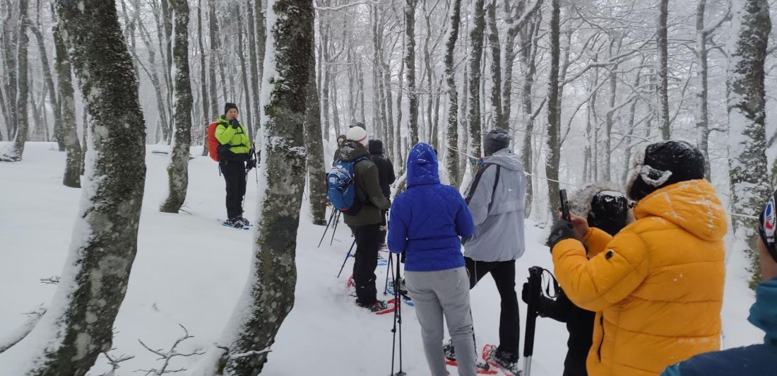 Aperçu de BUREAU MONTAGNE HAUTES VOSGES