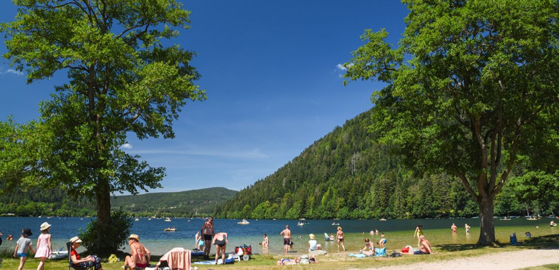 Aperçu de LE LAC DE LONGEMER - LAKE