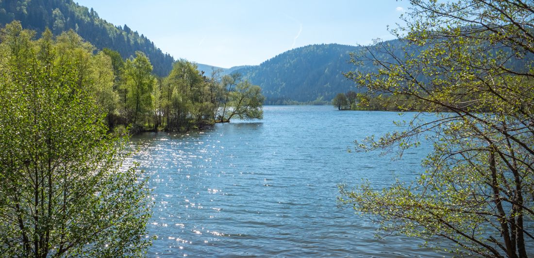 Aperçu de LE DELTA DU RUISSEAU SAINT-JACQUES