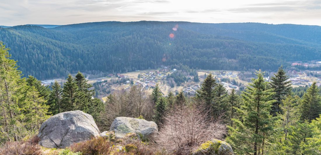 Aperçu de LA ROCHE MORAND