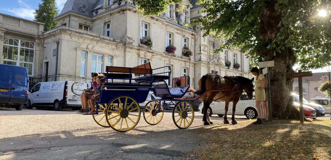 Aperçu de LA CAVALE ATTRACTION BALADE EN CALECHE ATTELEE