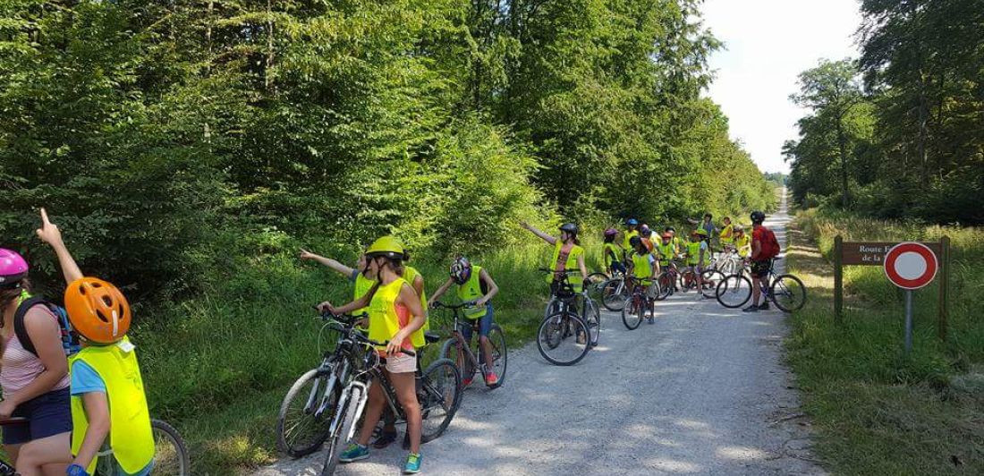 Aperçu de LOCATION DE VTT ET VÉLOS ÉLECTRIQUES