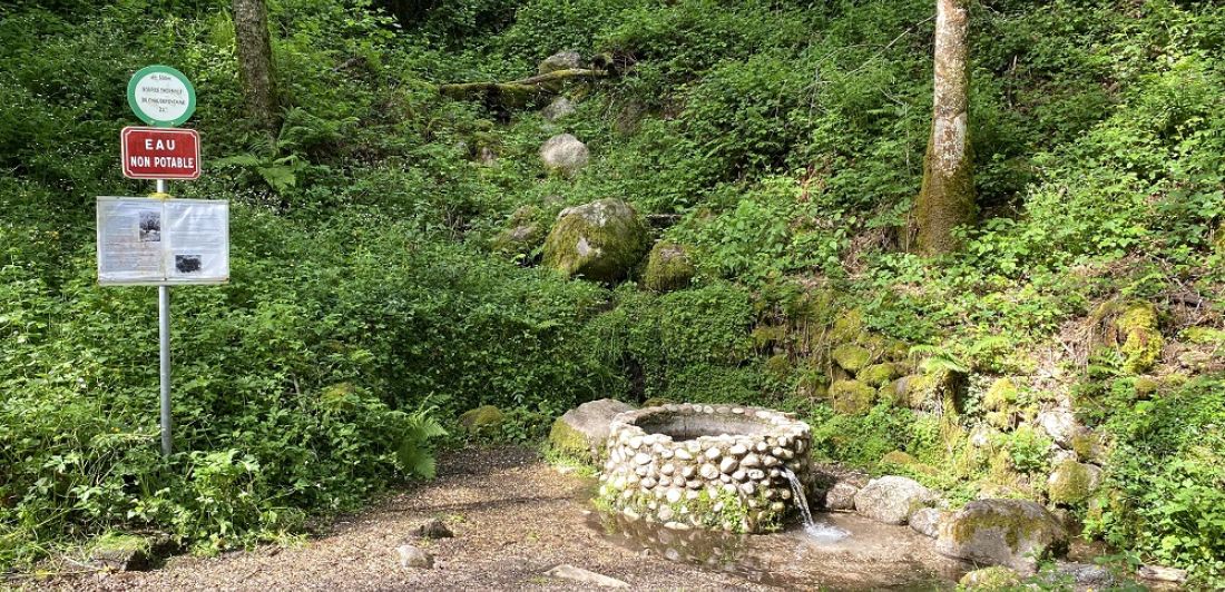 Aperçu de SOURCE DE CHAUDE-FONTAINE