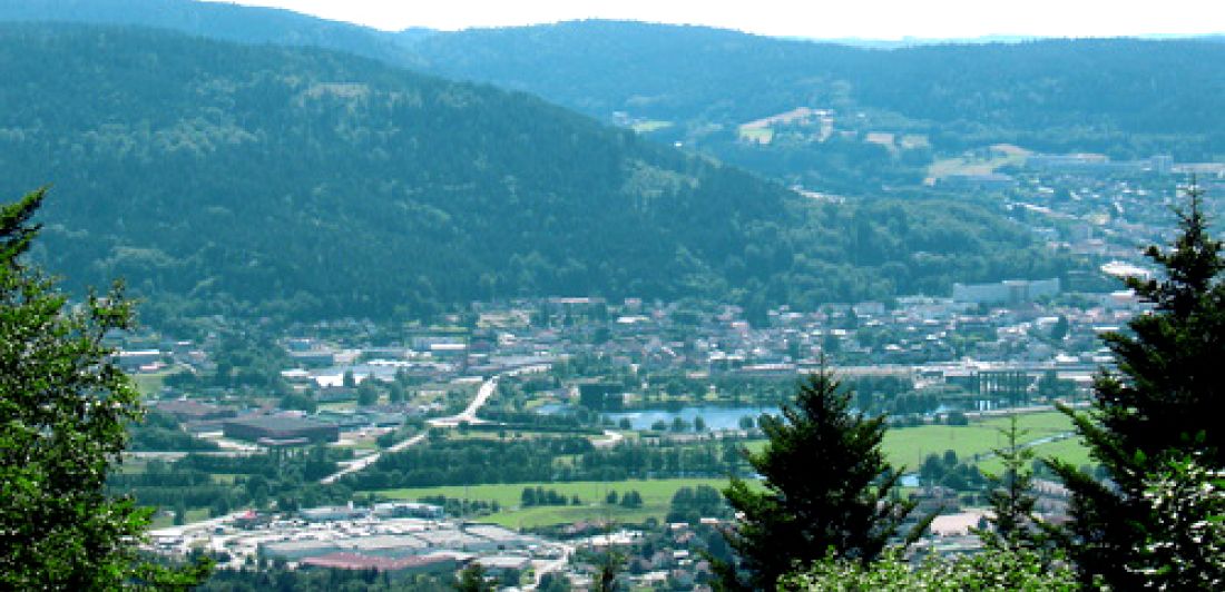 Aperçu de PANORAMA DEPUIS LA ROCHE DES BRUYÈRES