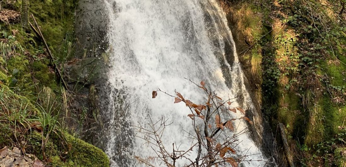 Aperçu de CASCADE DE MIRAUMONT