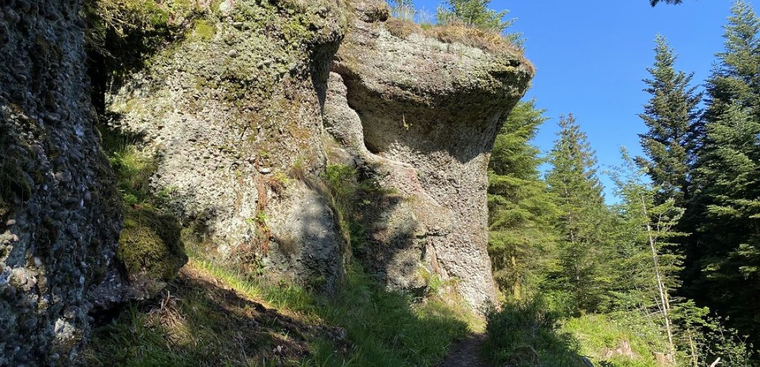 Aperçu de LA ROCHE TOCQUAINE