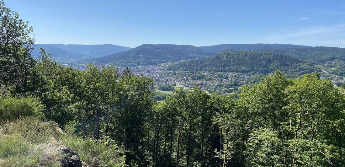 Aperçu de LE BELVÉDÈRE DE MONTIROCHE