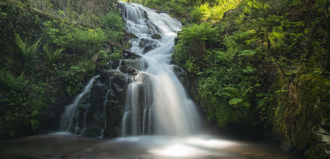 Aperçu de CASCADE DE FAYMONT