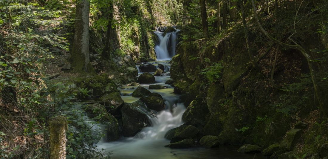 Aperçu de CASCADE DU GEHARD