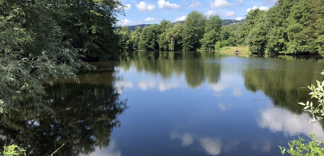 Aperçu de LES ÉTANGS DE LA PRAIRIE DU VOUAU