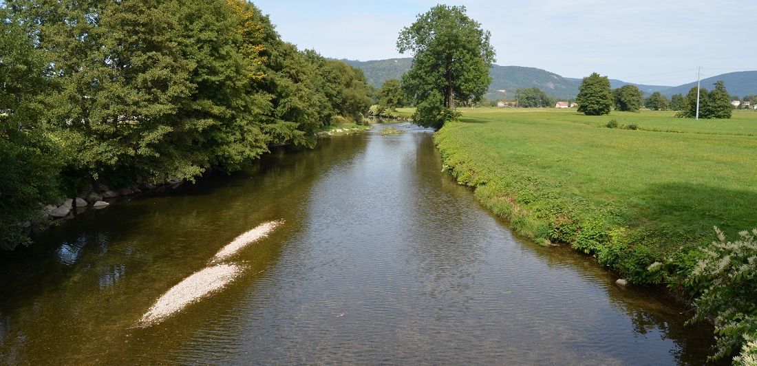 Aperçu de LA MOSELLE