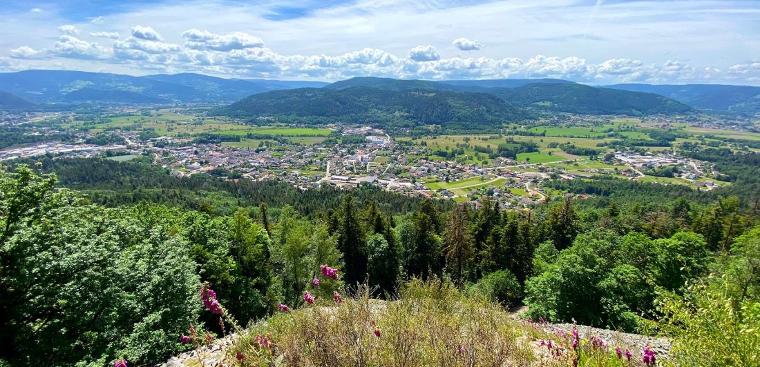 Aperçu de LES GRANDES CARRIÈRES